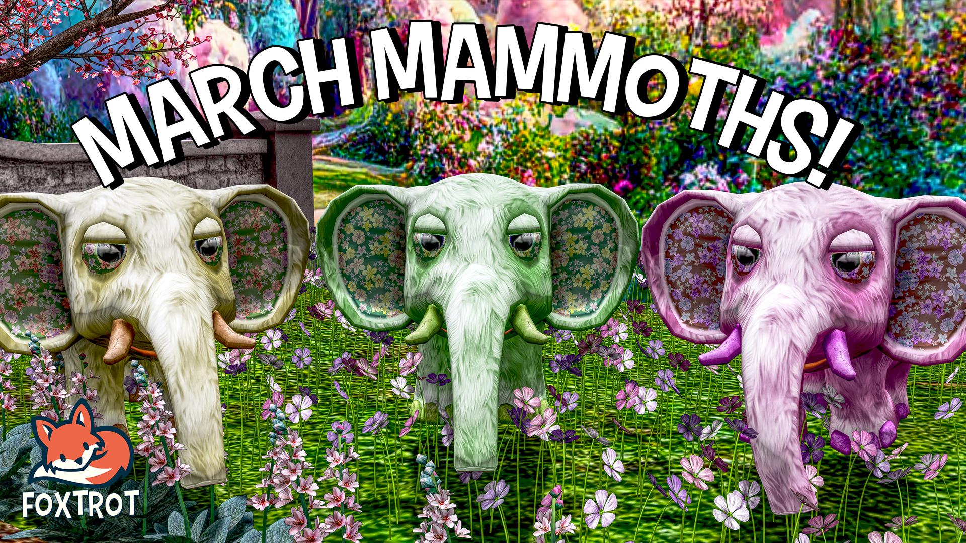 Photos by Stefalop Woodford