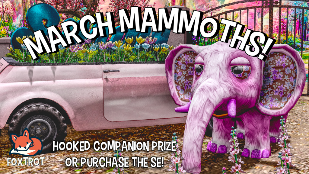 Photos by Stefalop Woodford